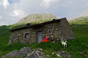 87 Alla Casera di Vedro (1674 m)